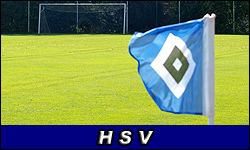 Symbolbild HSV